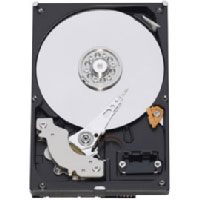 Western digital CAVIAR GP 500GB (WD5000AAVS) Western digital CAVIAR GP 500GB (WD5000AAVS)
